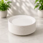 Premium White Disposable Patravali Paper Plates