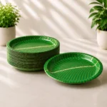 Premium Green Disposable Patravali Paper Plates