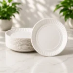 Premium White Disposable Patravali Paper Plates