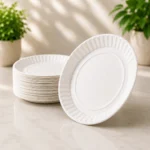 Premium White Disposable Patravali Paper Plates